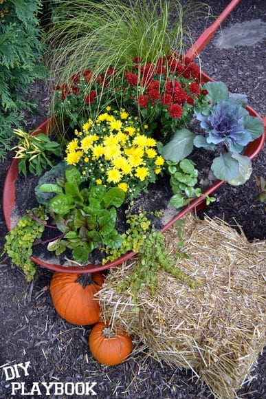 How to Turn an Old Wheelbarrow into a Fall Planter