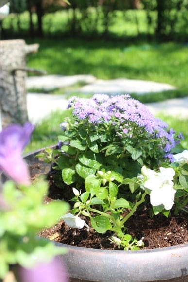 How To Remember what you Planted
