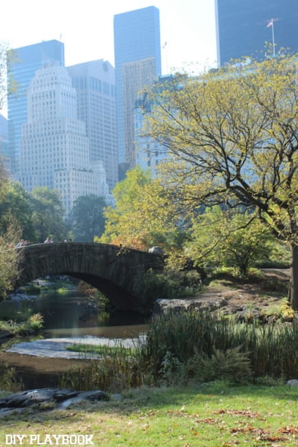 This view of Central Park is gorgeous.