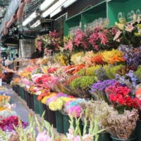 This NYC flower market is colorful.