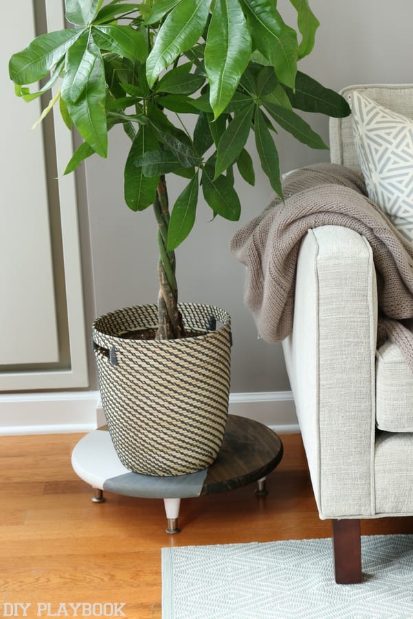 How to Make a DIY Plant Stand