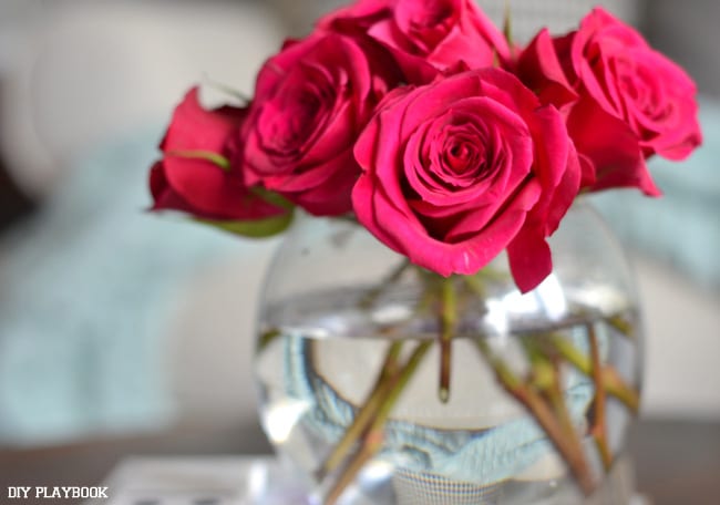 Our Favorite Home Products
