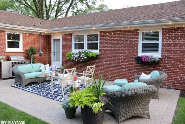 A Collection of Backyard Updates