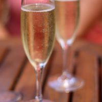 Champagne toast for all the bloggers