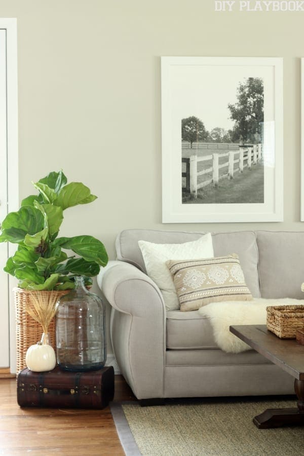 Frame your Pictures the Easy Way