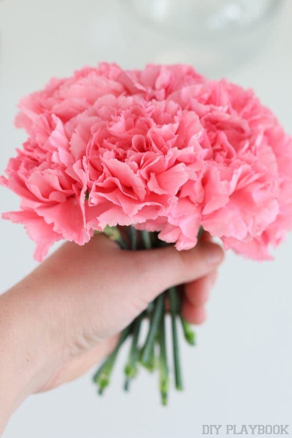 Rookie Mistake: Carnations