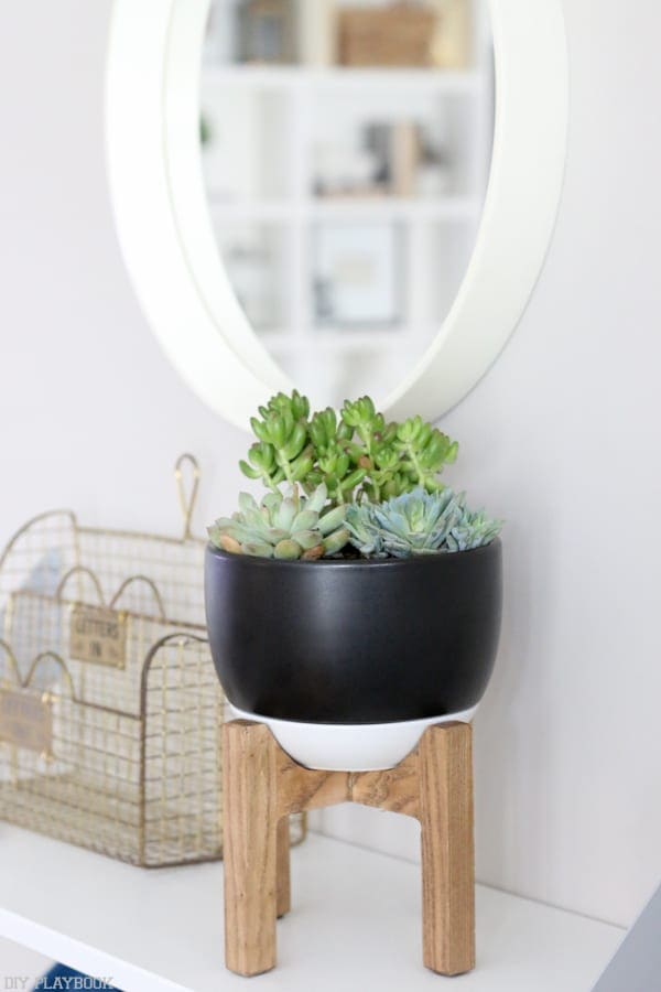 Target has the cutest succulent planters!