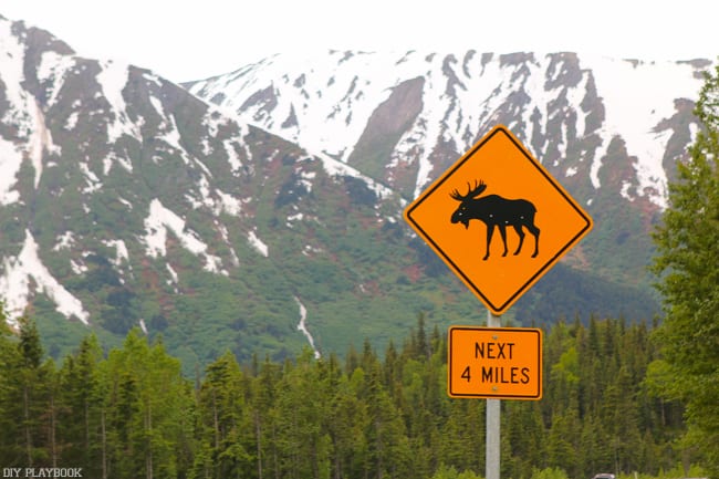 Alaska Road Trip Recap