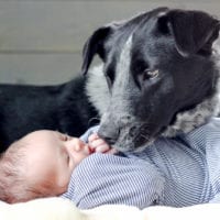 It's possible to take great photos of babies with pets!