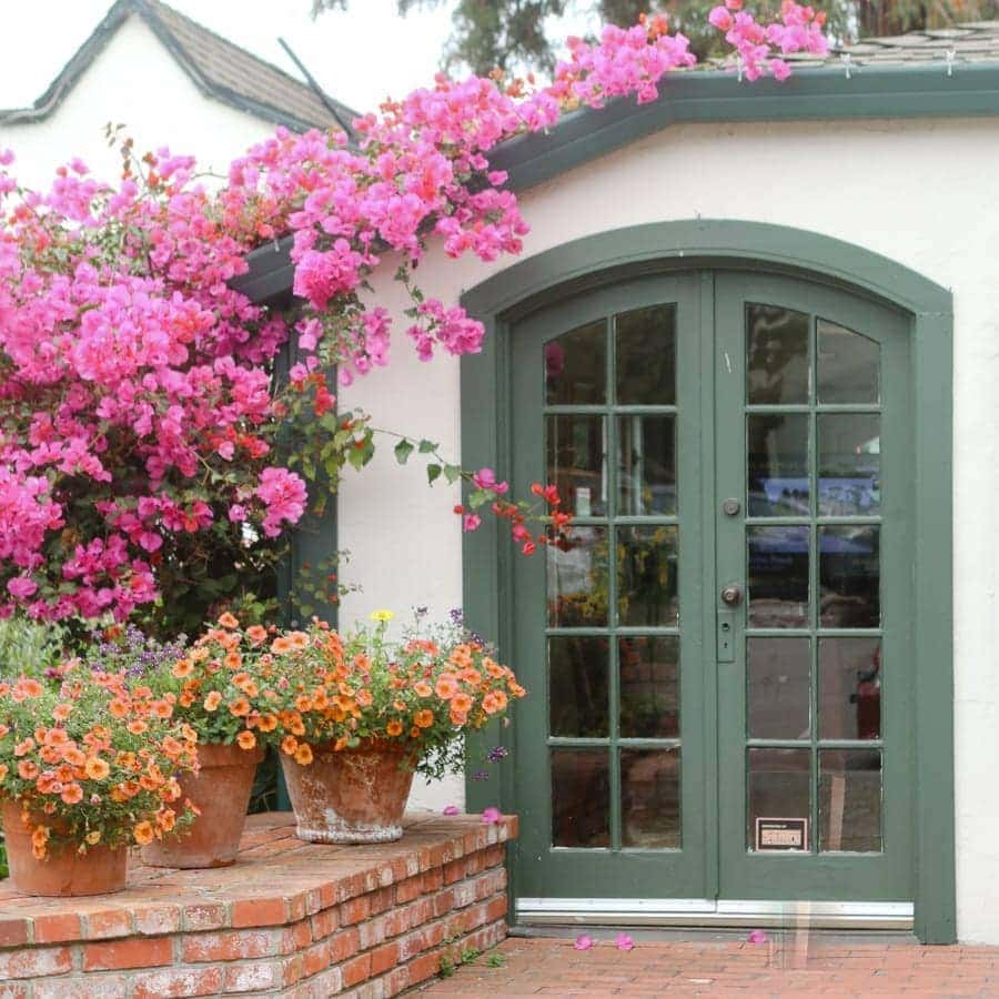 Carmel California Travel Guide | DIY Playbook