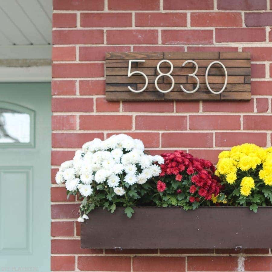 bridgets-first-house-fall-mums-2