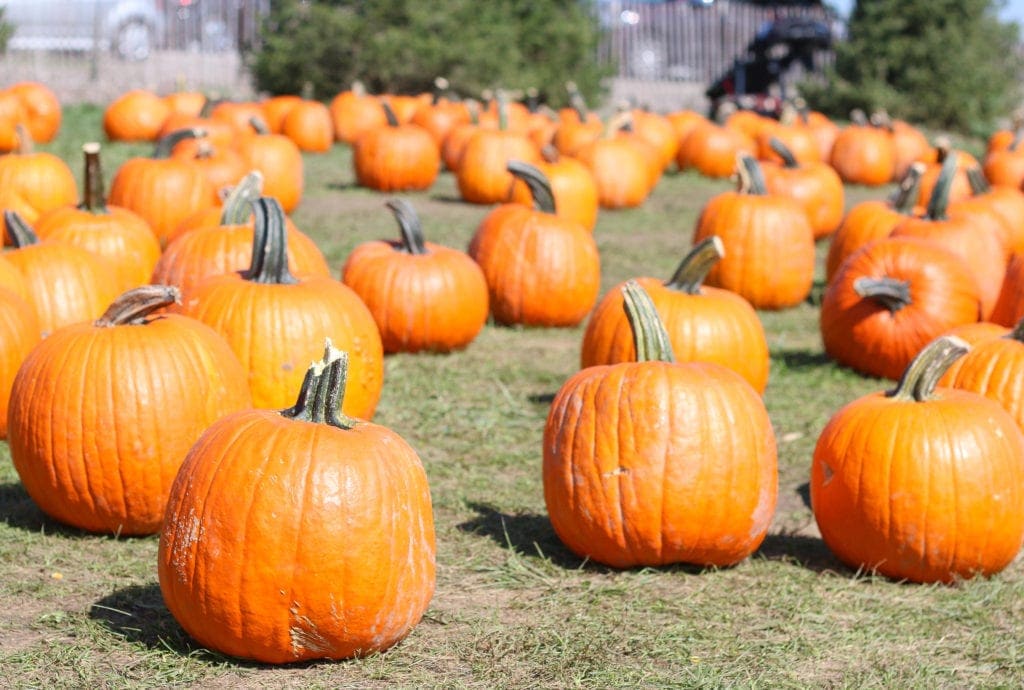 Embrace the season with these 7 ways to cozy up your home for fall!