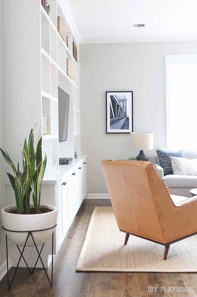Rookie Review: Our Paint Colors