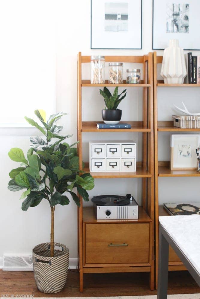 Shhh… My Fiddle Leaf is FAKE