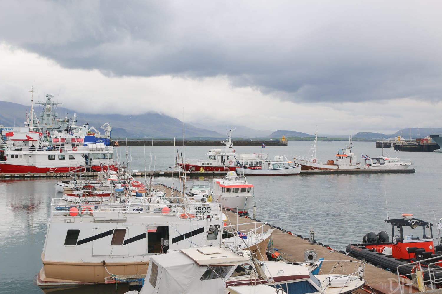 An umbrella! Iceland Packing Guide | DIY Playbook