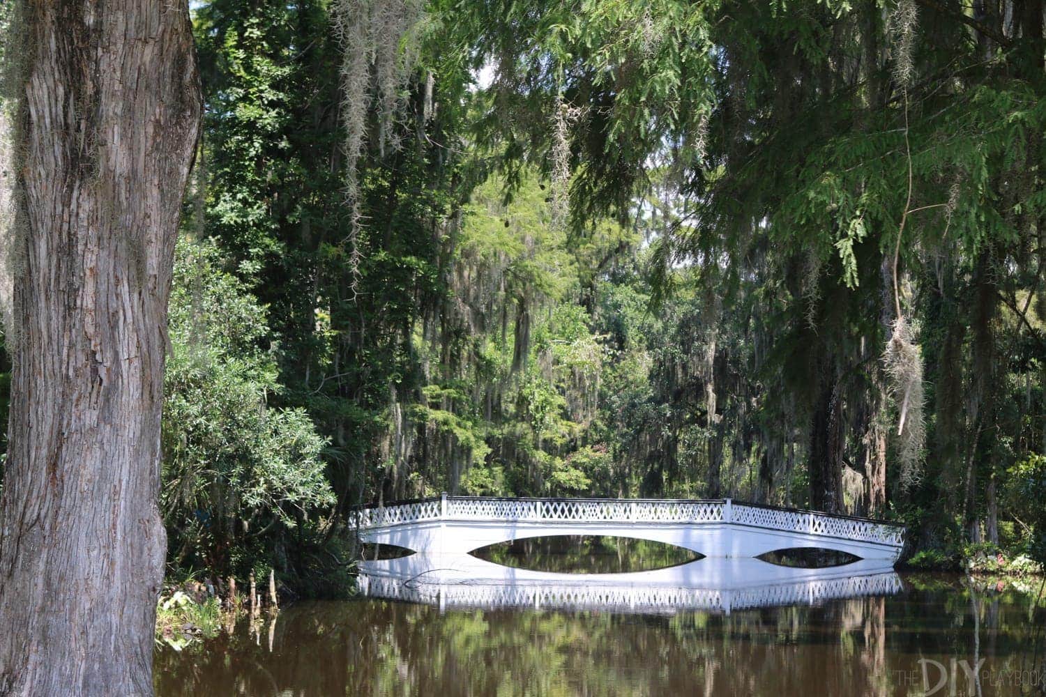 Charleston_SC_Magnolia_Plantation-3