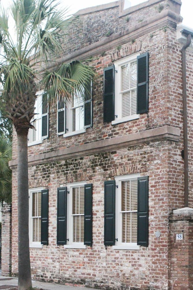 Charleston_SC_Magnolia_Plantation-7