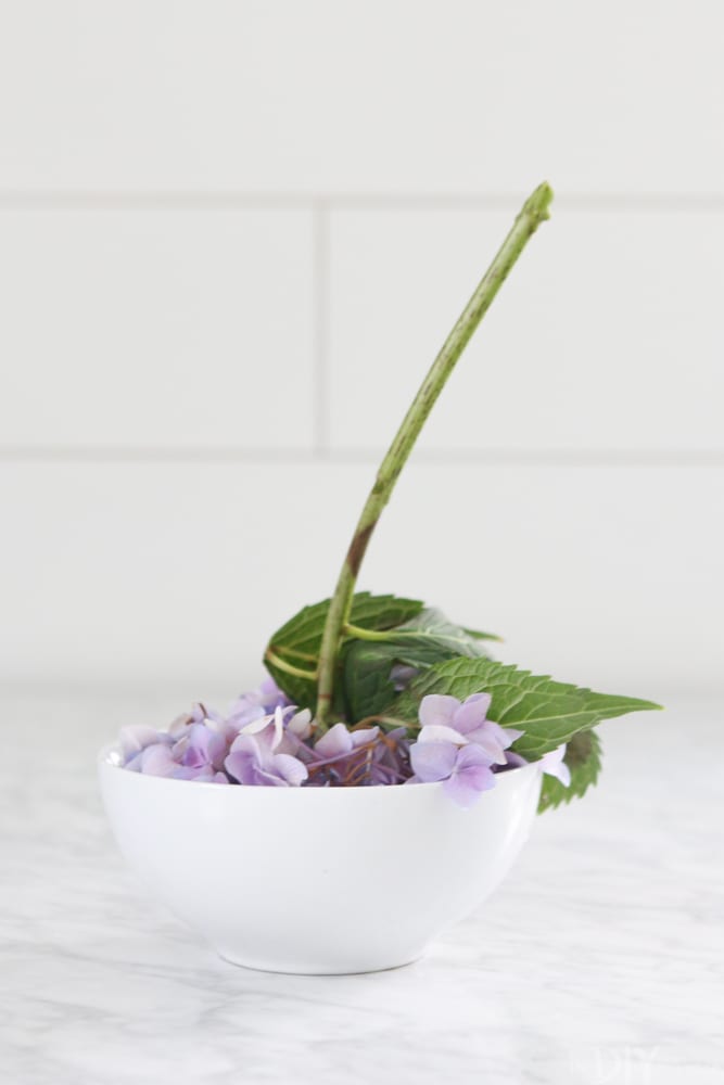 How to Revive Droopy Hydrangeas