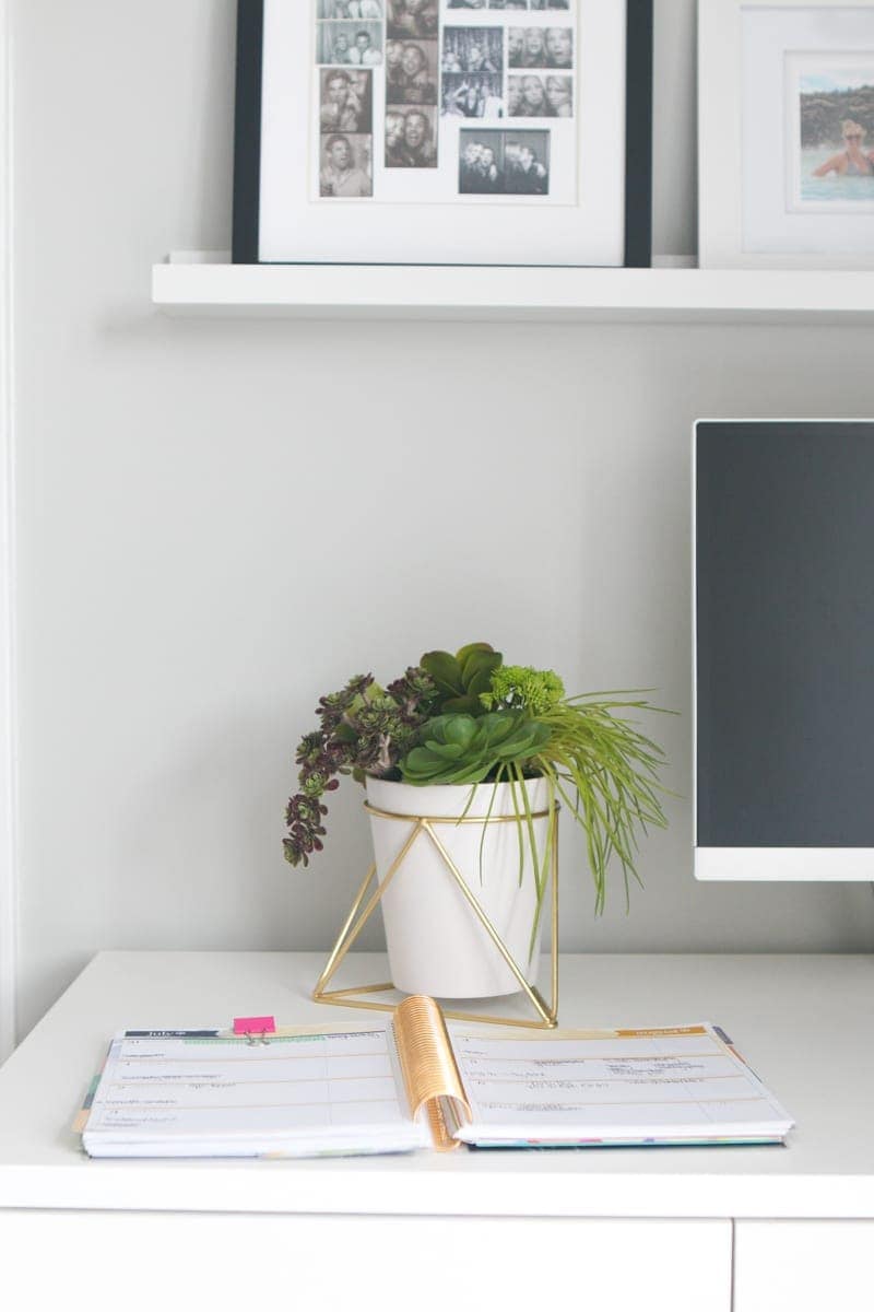Insert: Succulent Pens DIY Office Decor Project | DIY Playbook