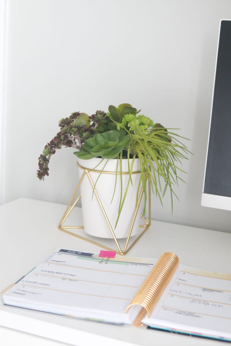 DIY Succulent Pens
