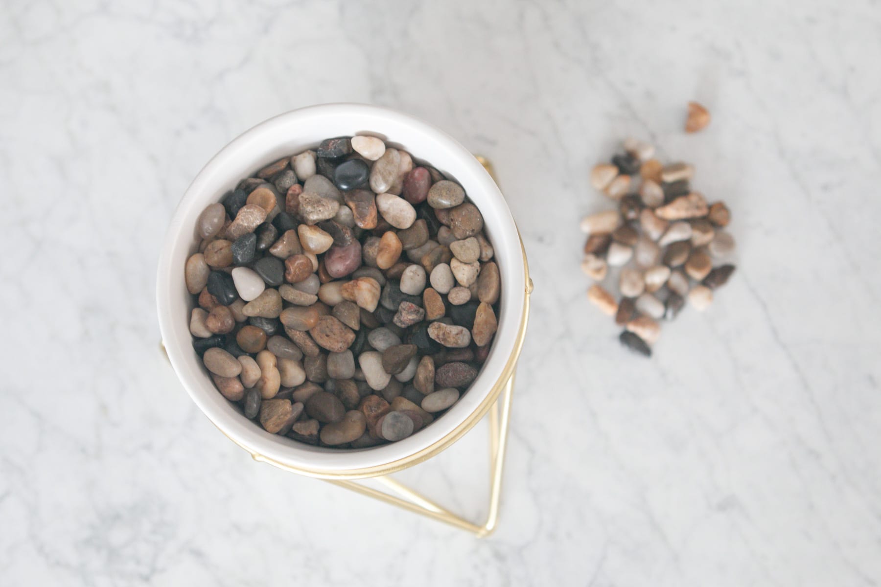 Add rocks to the vase: Succulent Pens DIY Office Decor Project | DIY Playbook