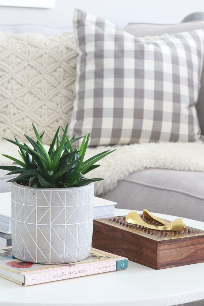 The Best Decorative Indoor Plant Pots and Accessories