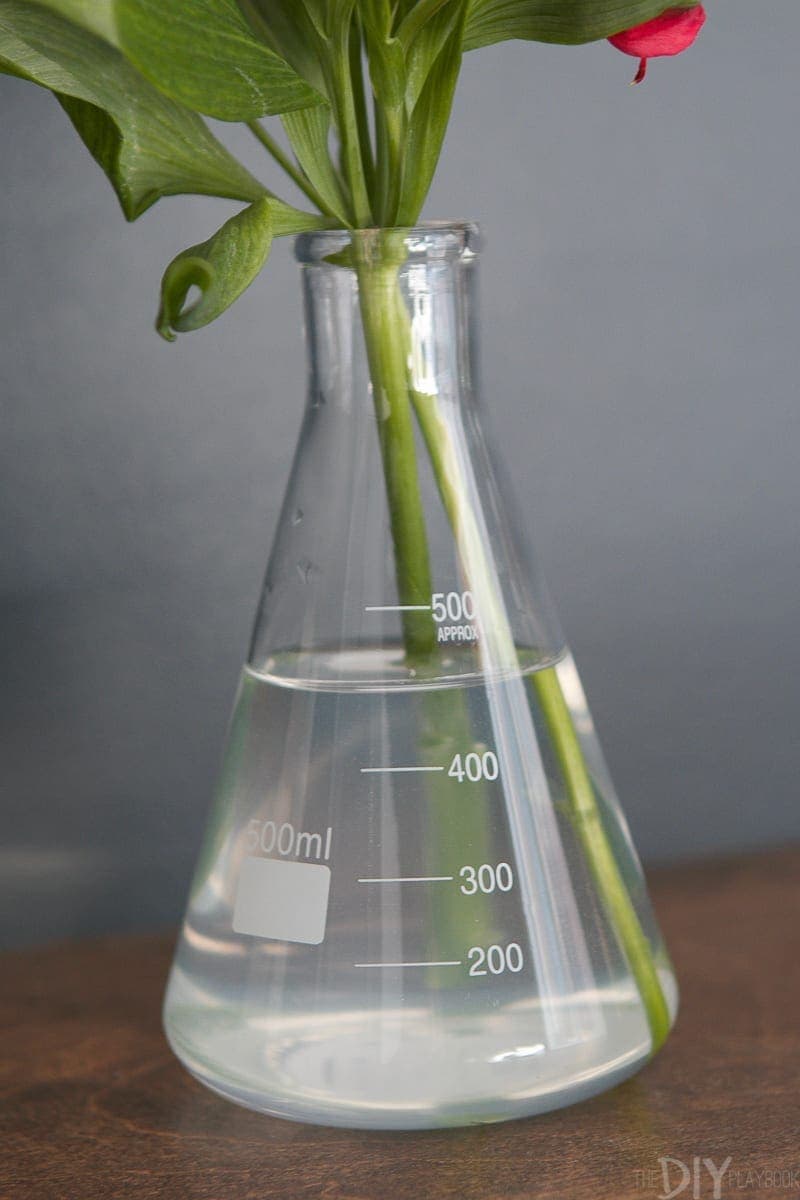 Test Tube Design:  How to Decorate for Fall | DIY Playbook