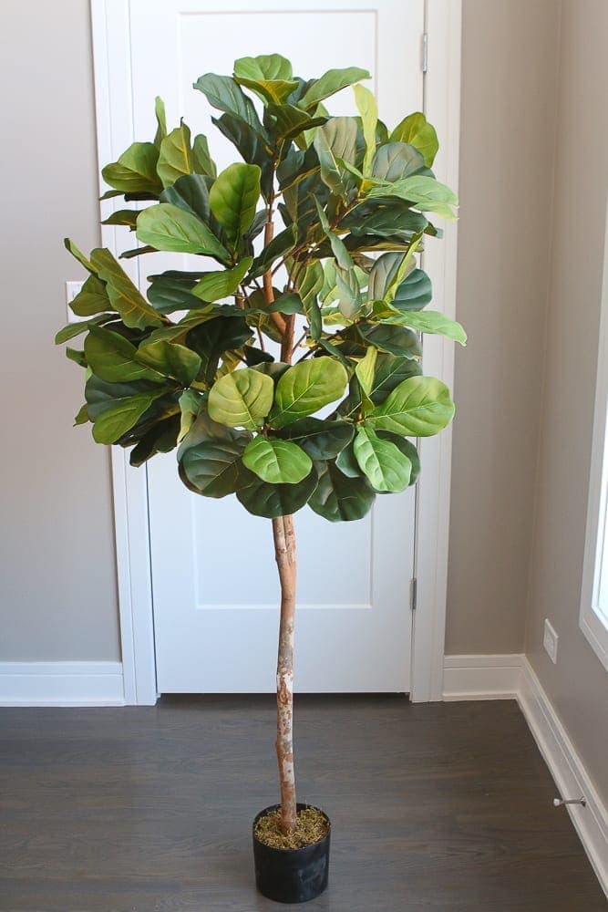 faux fiddle leaf fig plant 3