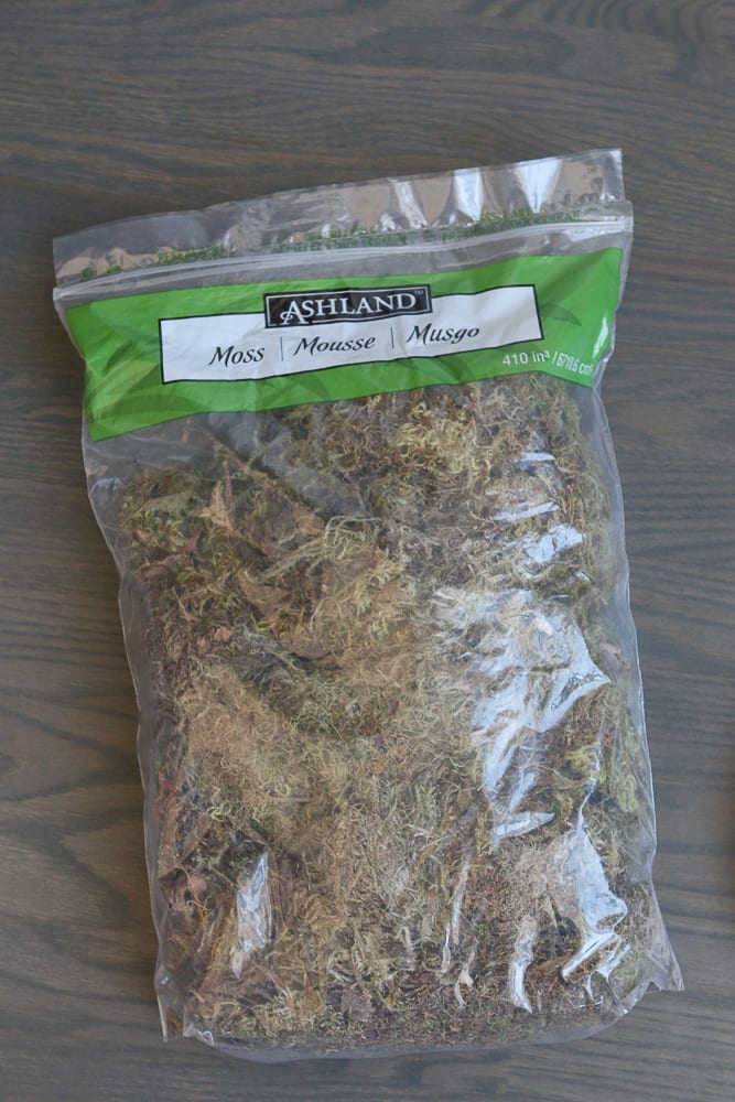 add moss