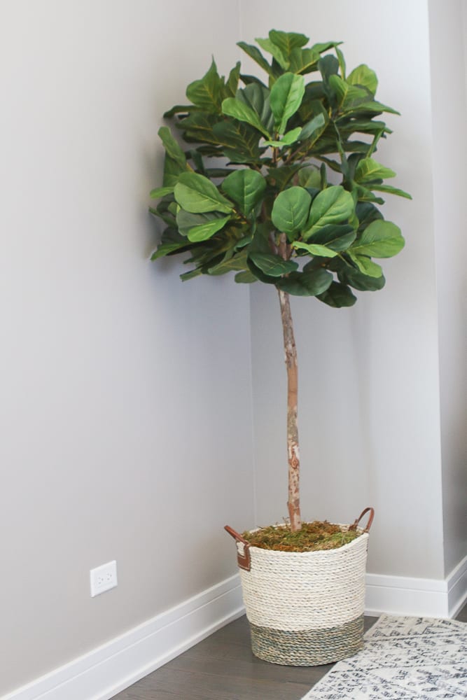 faux fiddle leaf fig plant