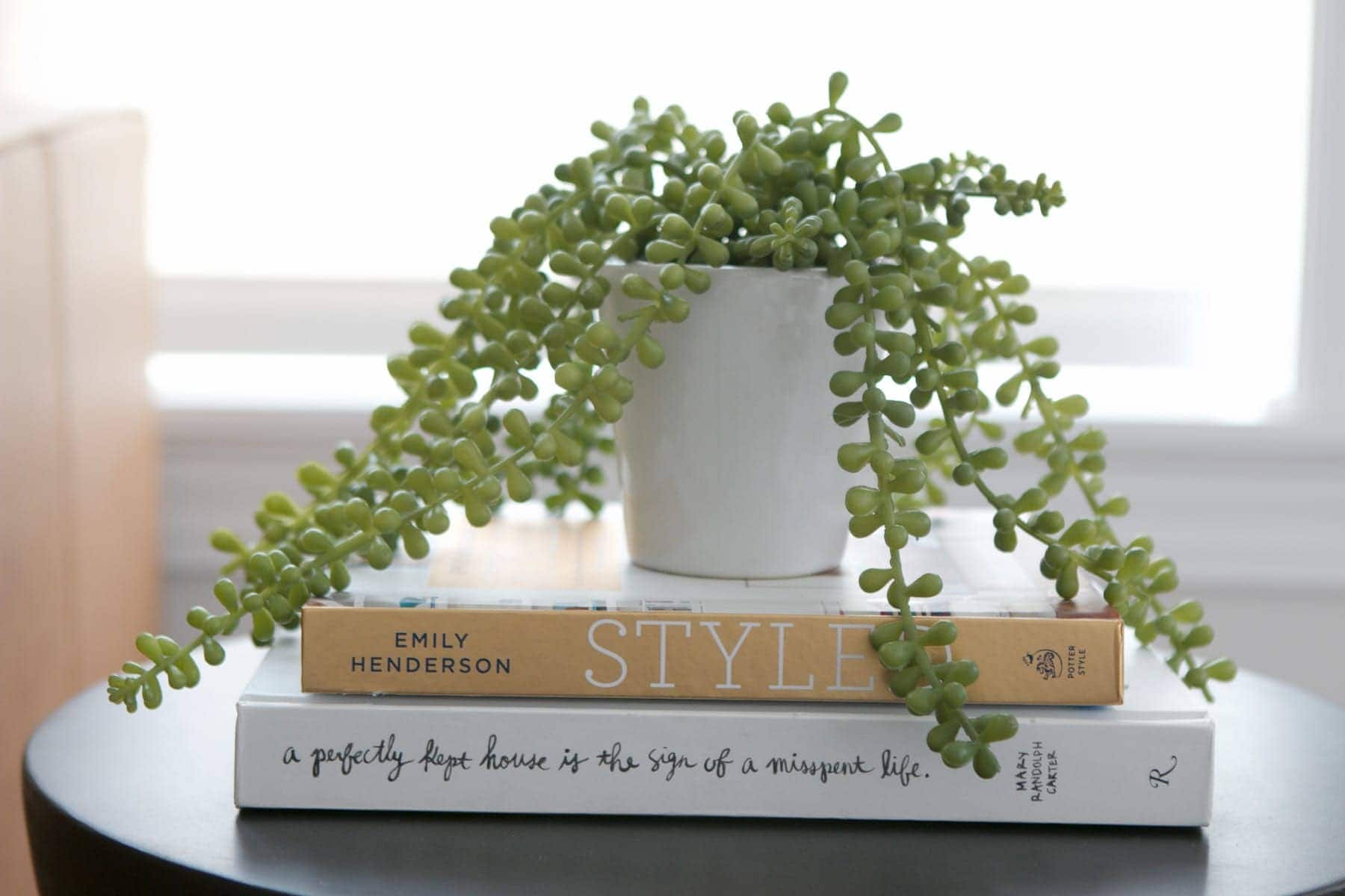 A faux plant and books on top of a black side table. 