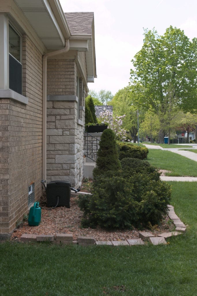 progress in updating our landscaping