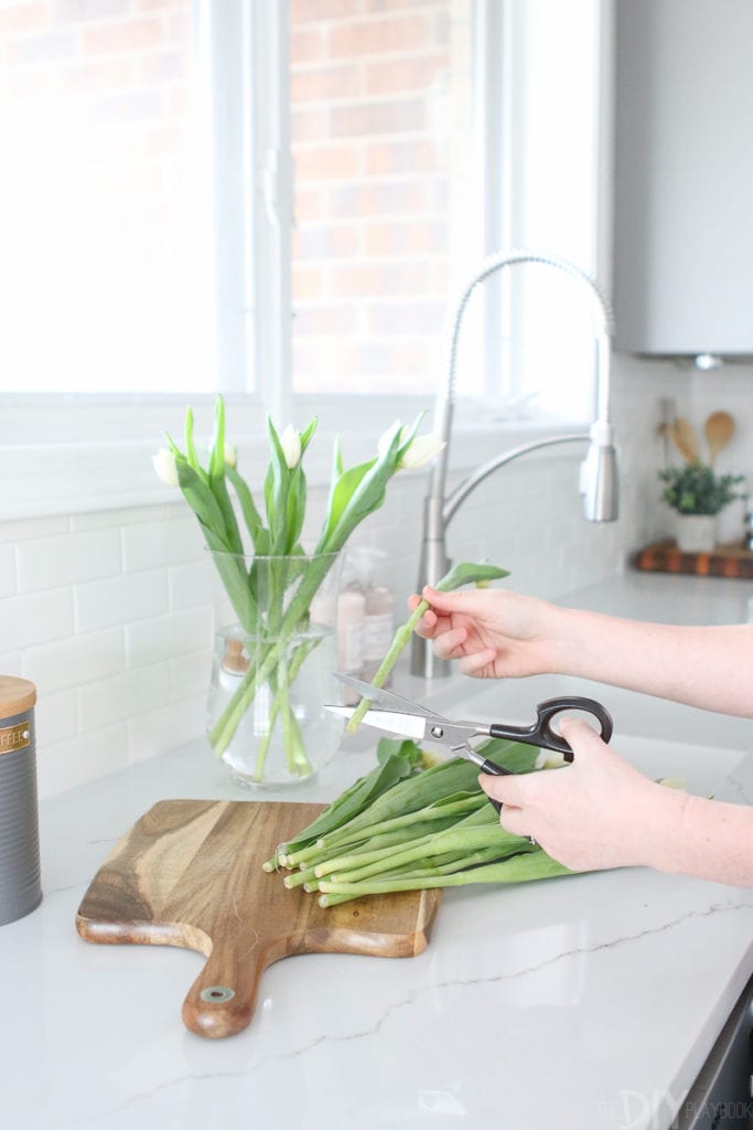 Cutting tulips to add to a vase 