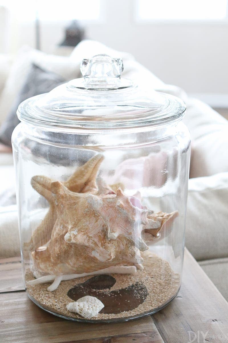 Use a clear glass canister to showcase seashells from your latest vacation
