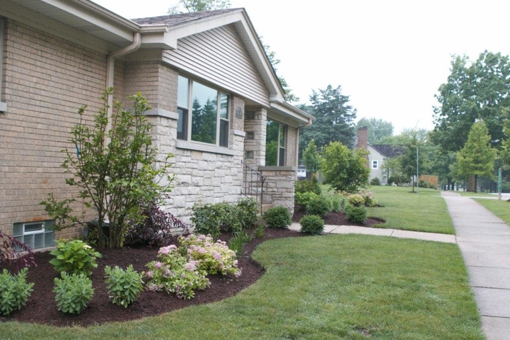 new landscaping with bushes and plants