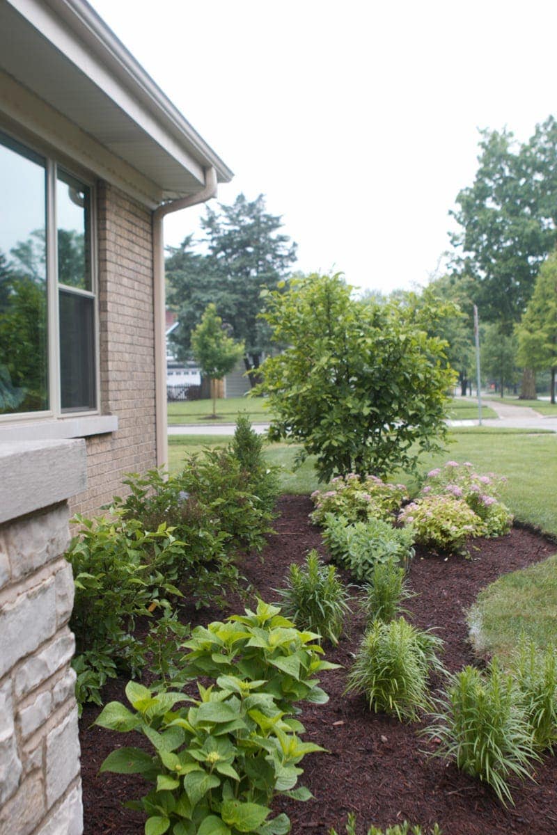 Check for pools of water so you know there is proper drainage in the yard