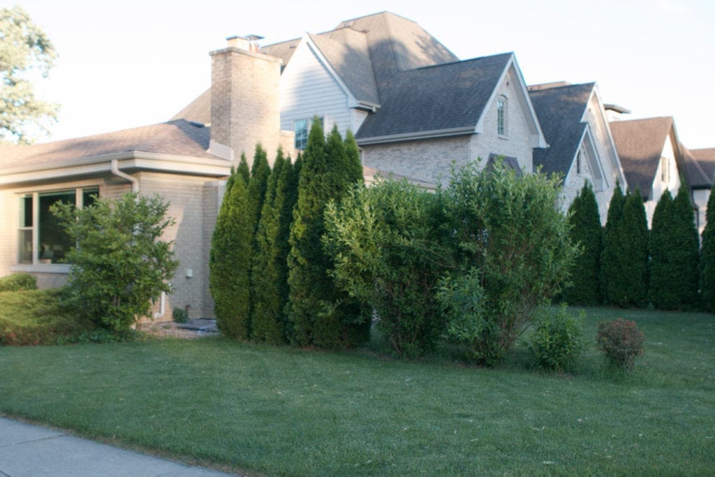 landscaping before makeover