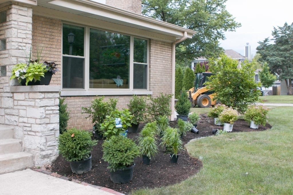 placing plants in the right places before planting