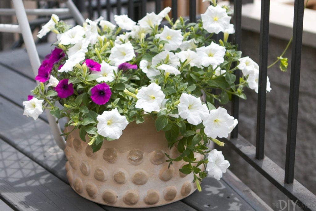 Add small planters to your deck with wave petunias