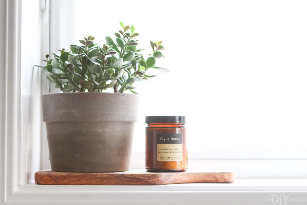 Display a plant on a windowsill in the kitchen