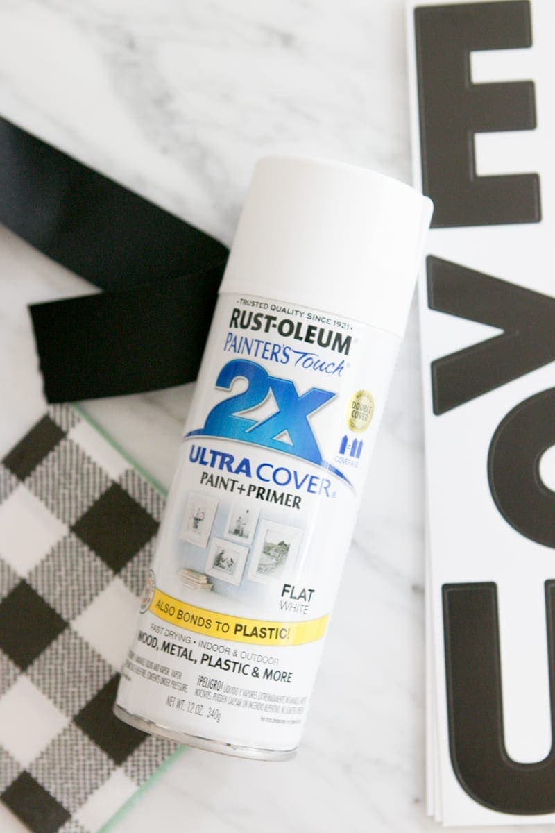 spray paint for diy costume