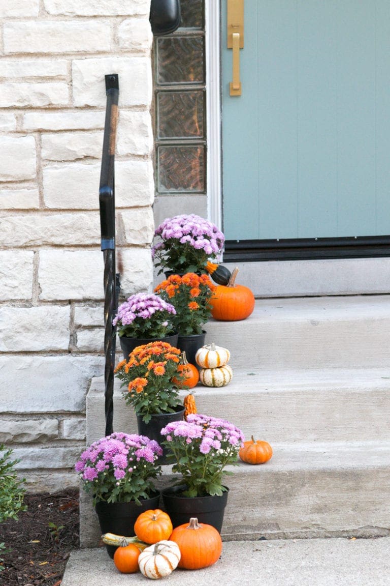Happy Hour No. 26