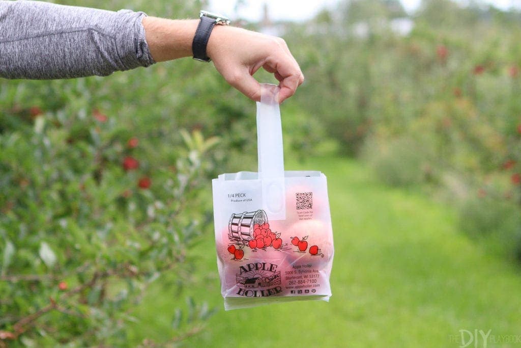 Apple picking in Wisconsin at apple holler