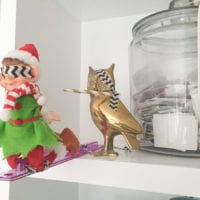 Elf on the shelf ideas