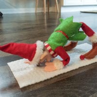 Elf on the shelf ideas