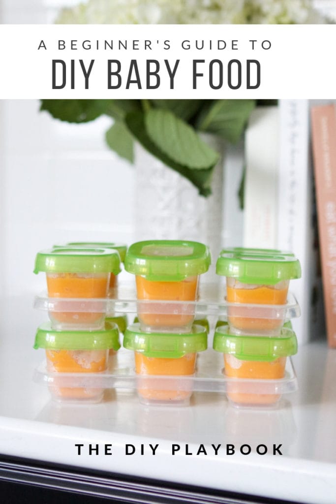 Beginner's Guide to DIY Baby Food