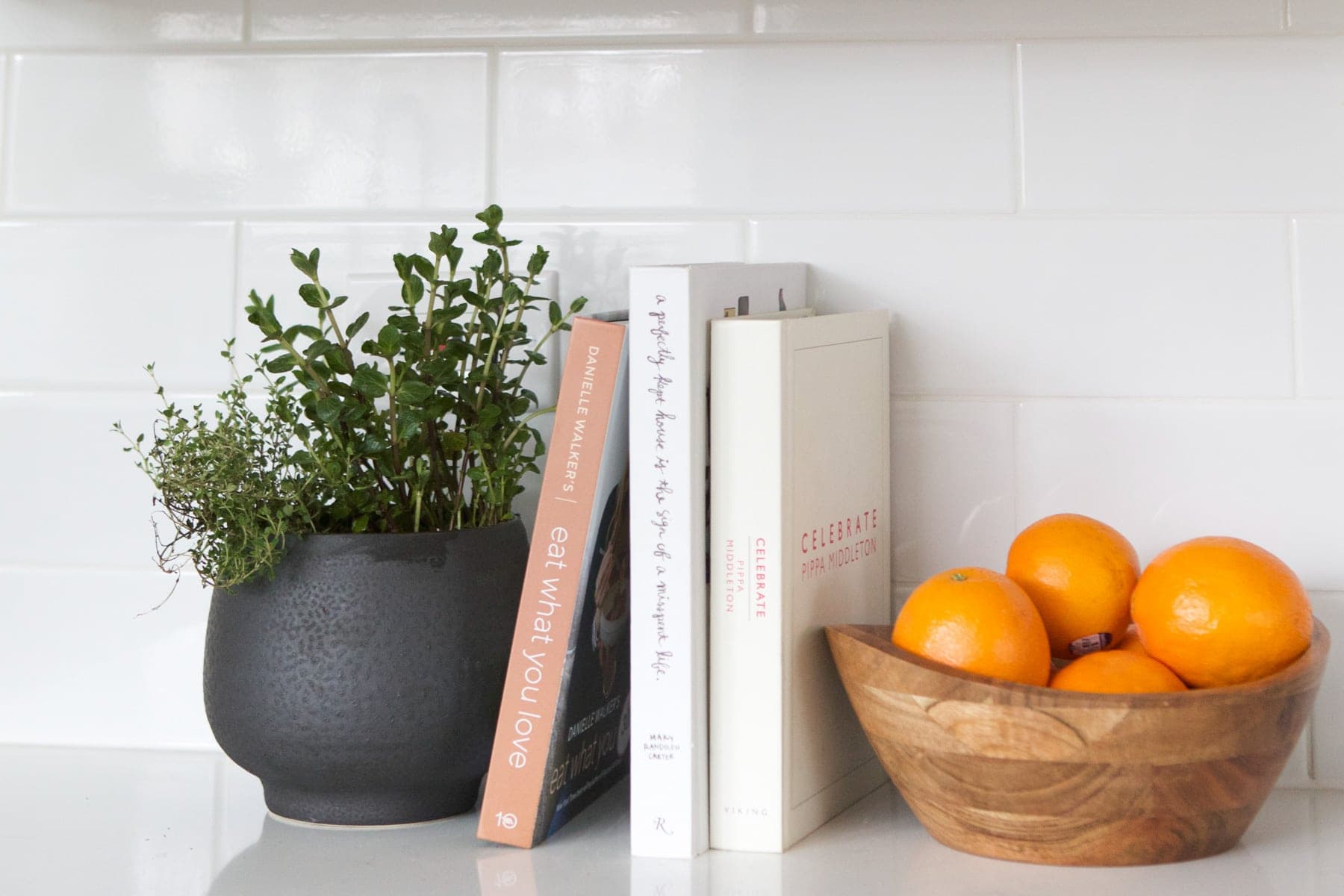 pot with plants 