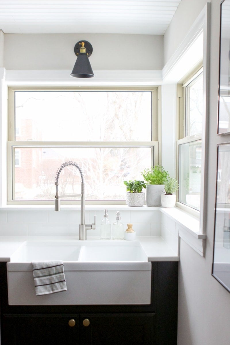 kitchen sink planters