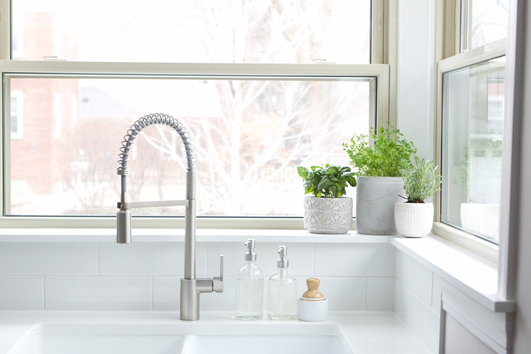 kitchen sink planters