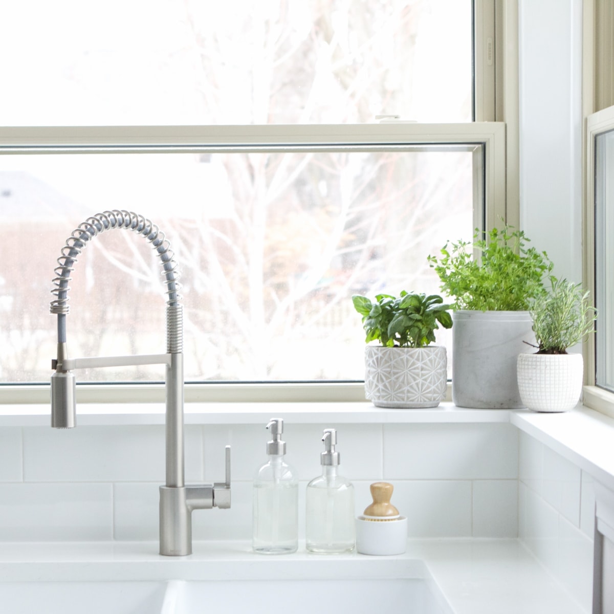 kitchen sink herb garden